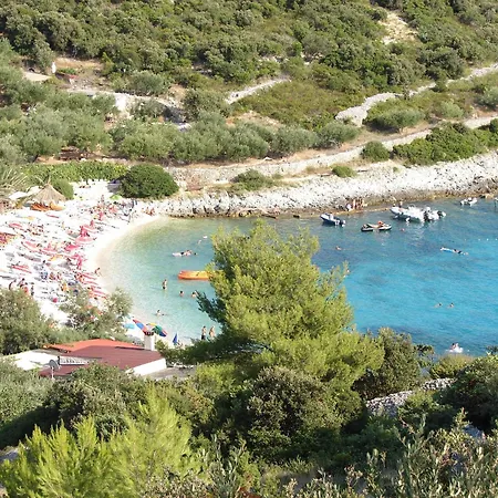 Fio - Hvar